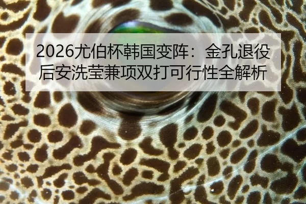 2026尤伯杯韩国变阵：金孔退役后安洗莹兼项双打可行性全解析